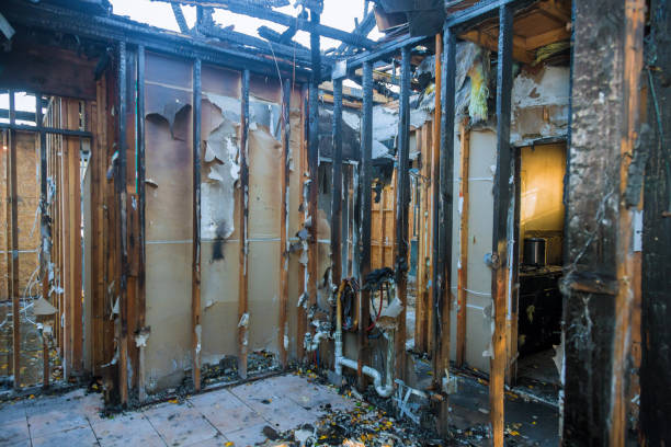 Professional Fire Damage Cleanup technician working in Skippack, PA
